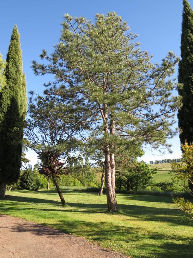 Nature'S Pace Holidays Montmaur  Luaran gambar